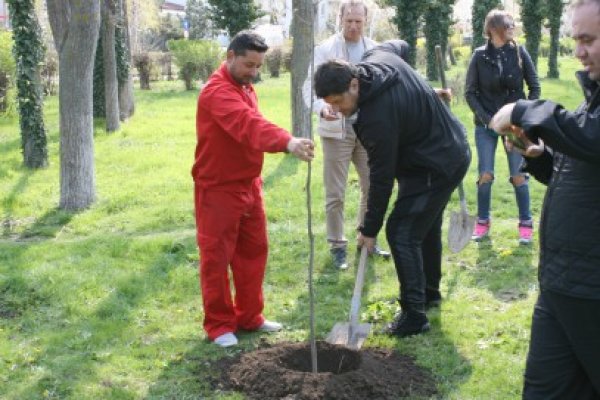 Vedetele au plantat copaci la Eforie Sud